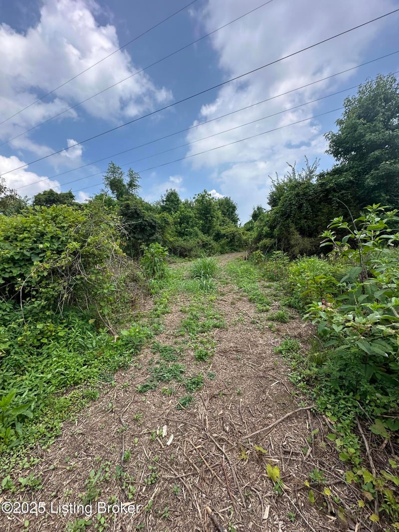 4789 Peck Pike Rd, Milton, KY 40045