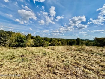 4801 Cissellville Rd, Springfield, KY 40069