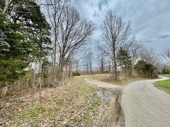 482 Gordon Ford Rd, Willisburg, KY 40078