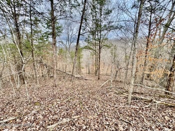 482 Gordon Ford Rd, Willisburg, KY 40078