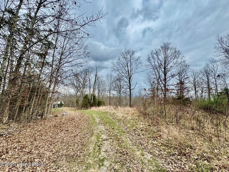 482 Gordon Ford Rd, Willisburg, KY 40078