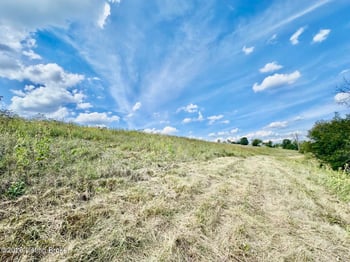 4899 Cissellville Rd, Springfield, KY 40069