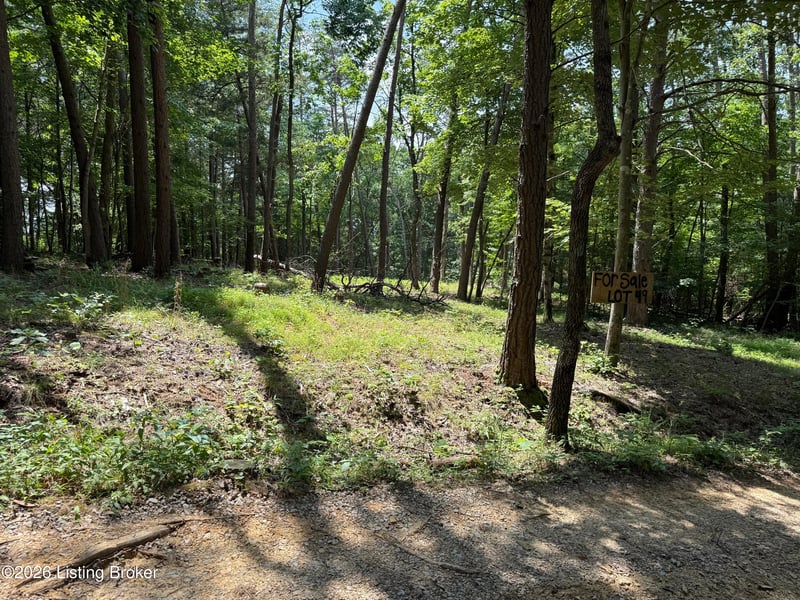 49 Pine Hurst Bay, Clarkson, KY 42726