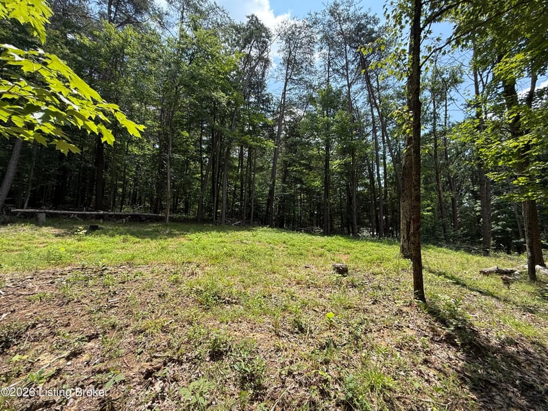 49 Pine Hurst Bay, Clarkson, KY 42726