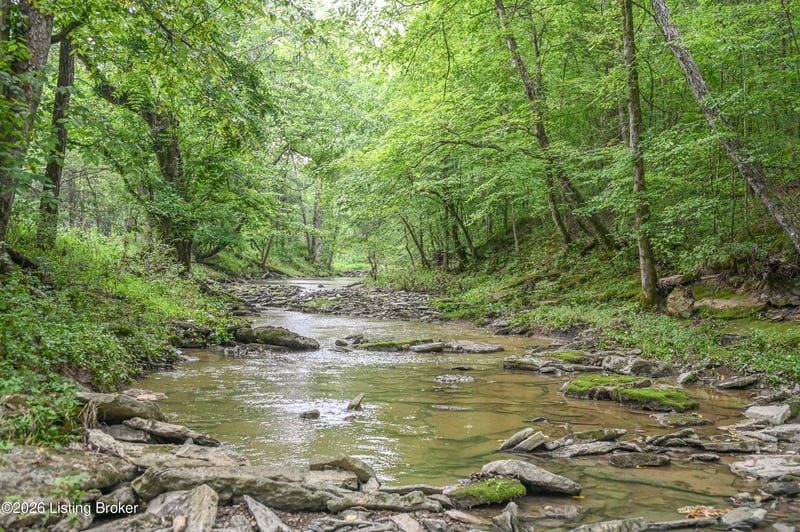 4911 Chaplin Rd, Willisburg, KY 40078