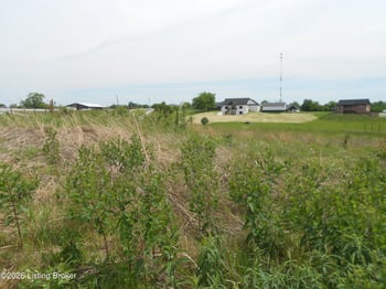 4939 Bloomfield Rd, Bardstown, KY 40004