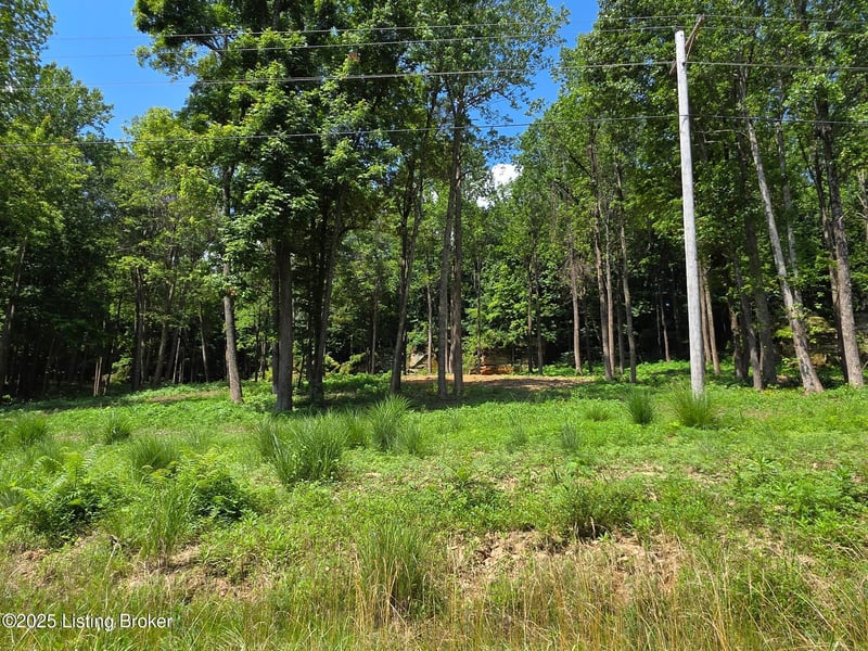 5 Cave Creek Rd, Falls Of Rough, KY 40119