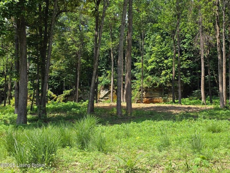 5 Cave Creek Rd, Falls Of Rough, KY 40119