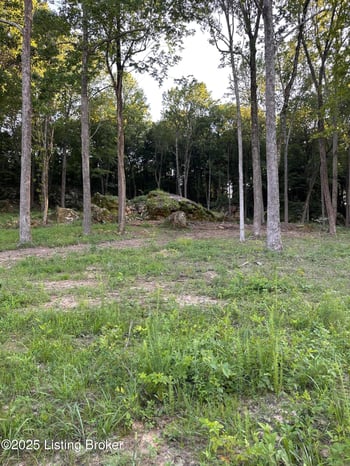 5 Cave Creek Rd, Falls Of Rough, KY 40119