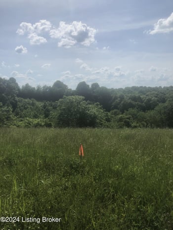5 Chowning Ln, Bloomfield, KY 40008