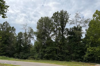 5004 Sycamore Ridge Ln, La Grange, KY 40031