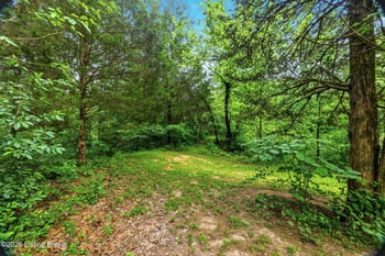 505 Brewster Rd, Summer Shade, KY 42166