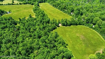 5074 Beaver Dam Rd, Leitchfield, KY 42754