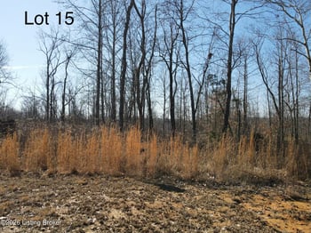 517 Gunner Rd, Clarkson, KY 42726