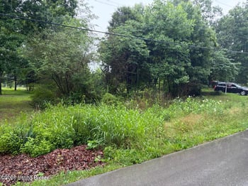 53 Abner Est, Leitchfield, KY 42754