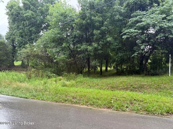 53 Abner Est, Leitchfield, KY 42754