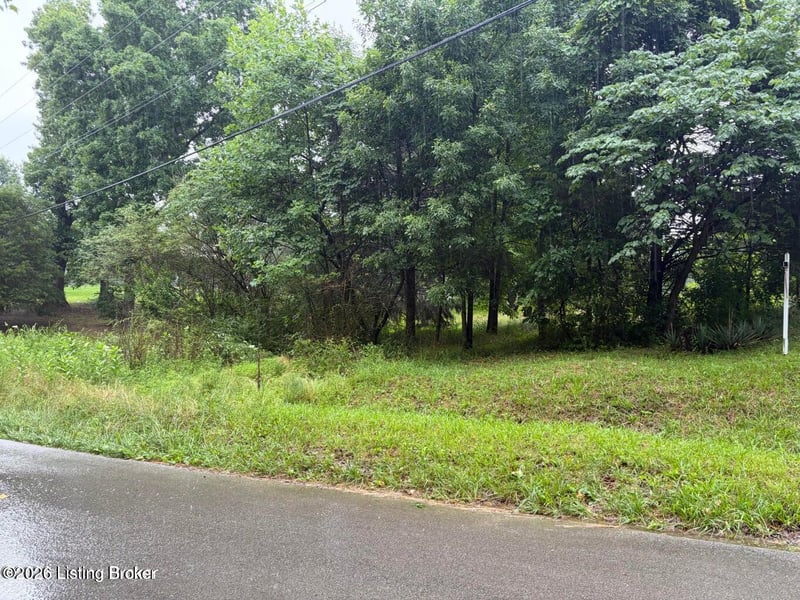 53 Abner Est, Leitchfield, KY 42754