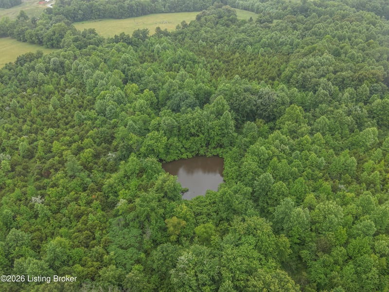 531 Hickory Grove Rd, Campbellsville, KY 42718