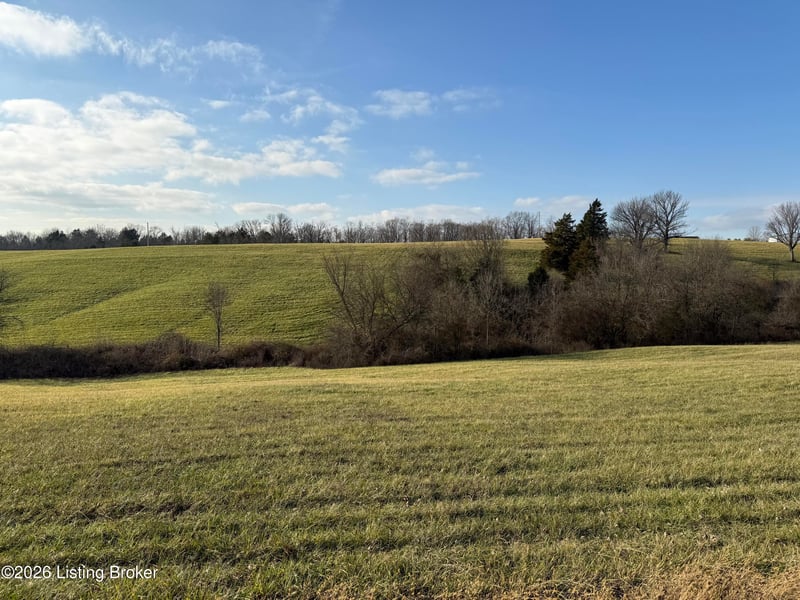 537 Dawkins Ln #Tract4, Sulphur, KY 40070