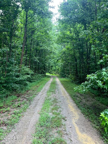 550 Wilson Creek Rd, Boston, KY 40107