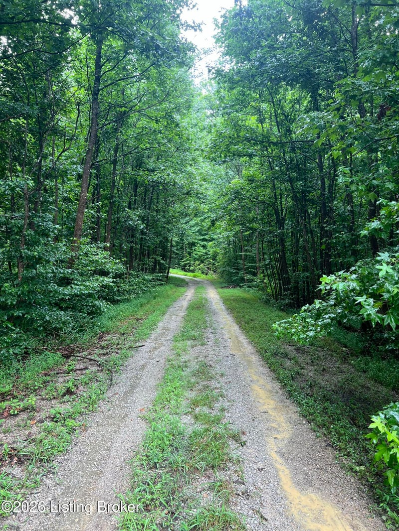 550 Wilson Creek Rd, Boston, KY 40107