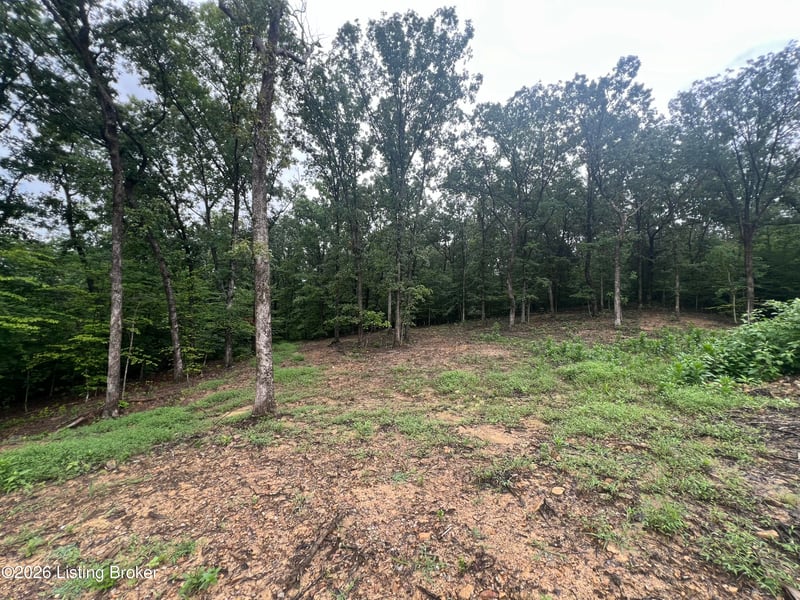 550 Wilson Creek Rd, Boston, KY 40107