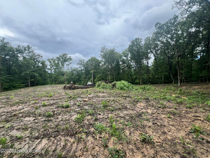 550 Wilson Creek Rd, Boston, KY 40107