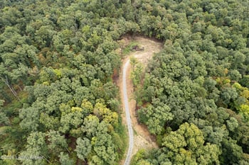550 Wilson Creek Rd, Boston, KY 40107