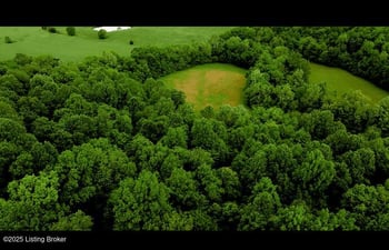 5579 Falls Of Rough Rd, Caneyville, KY 42721