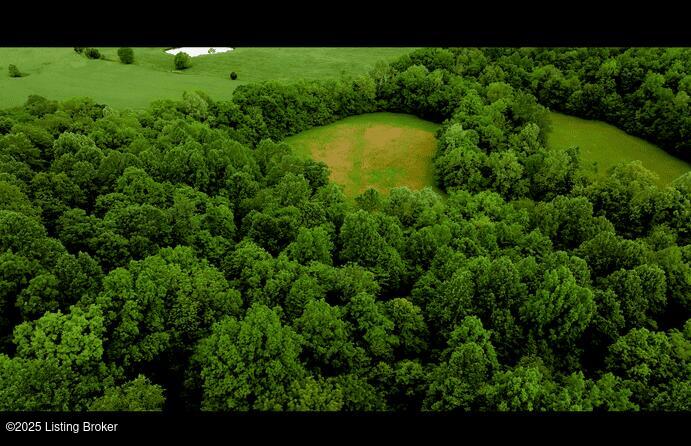 5579 Falls Of Rough Rd, Caneyville, KY 42721