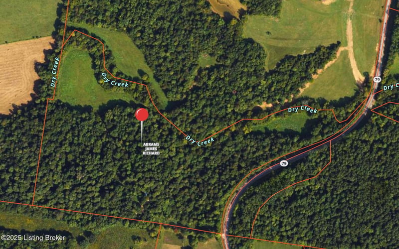 5579 Falls Of Rough Rd, Caneyville, KY 42721