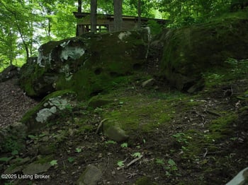 5579 Falls Of Rough Rd, Caneyville, KY 42721