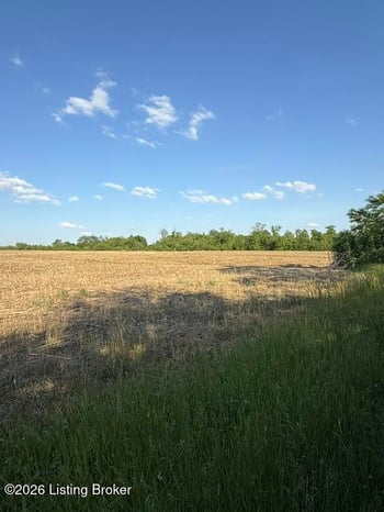 569 Scobie Ln, Sulphur, KY 40070
