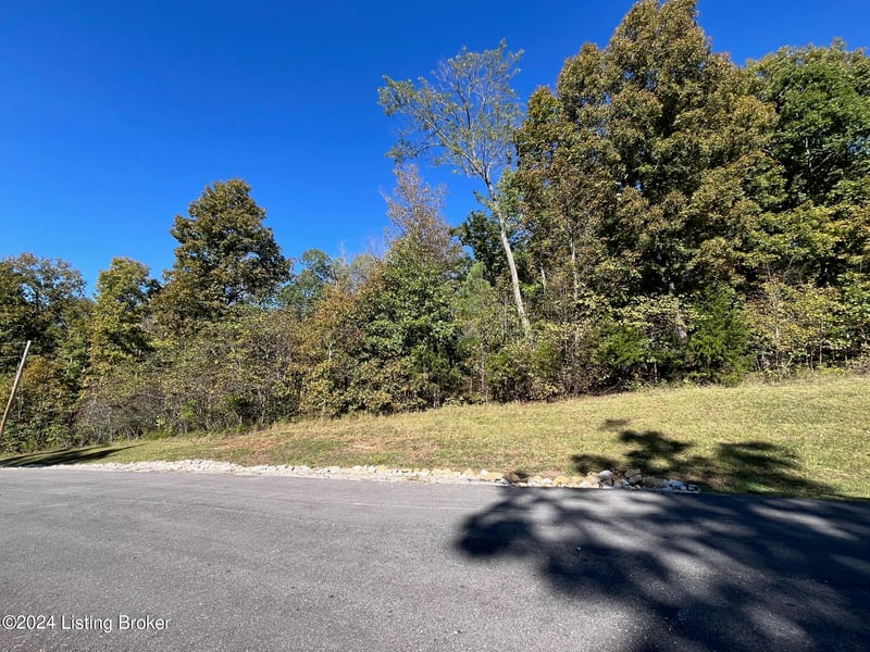 57 Patriots Landing Ln, Falls Of Rough, KY 40119