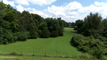 5805 Old State Rd, Guston, KY 40142