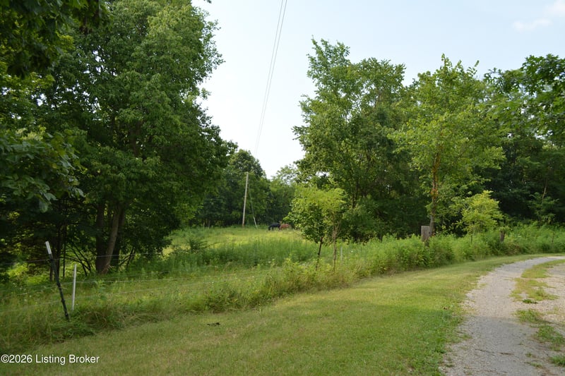 581 Noah's Ln, Bedford, KY 40006