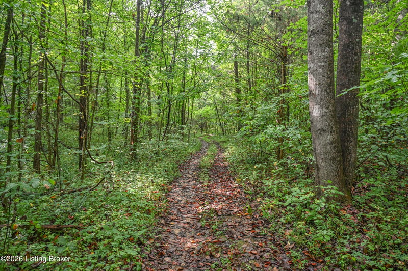585 Tucker Higgs Rd, Hudson, KY 40145