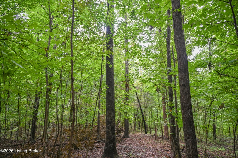 585 Tucker Higgs Rd, Hudson, KY 40145