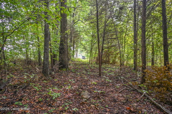 585 Tucker Higgs Rd, Hudson, KY 40145