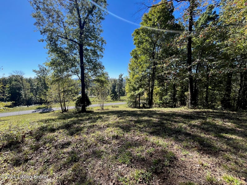 59 Patriot Heights Ln, Falls Of Rough, KY 40119