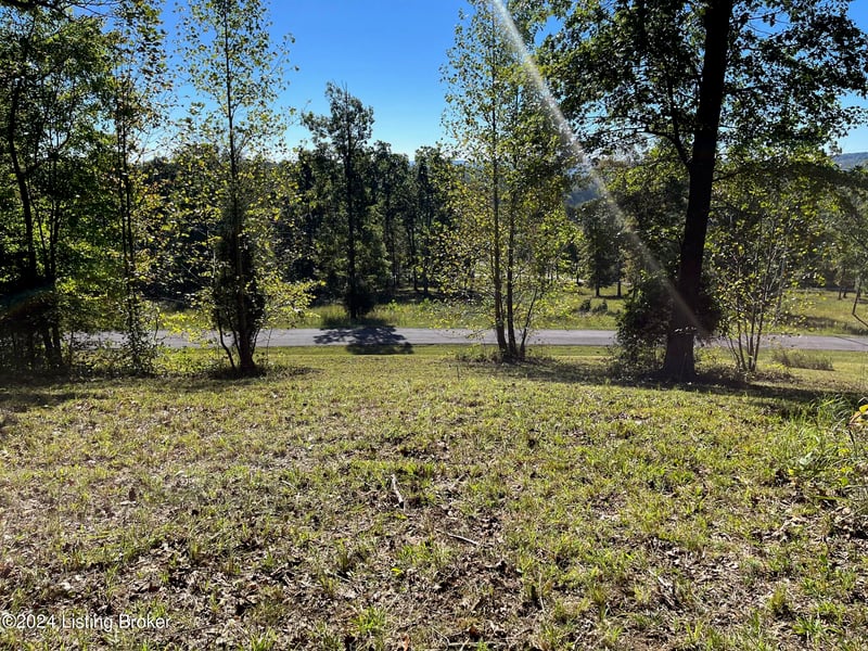 59 Patriot Heights Ln, Falls Of Rough, KY 40119