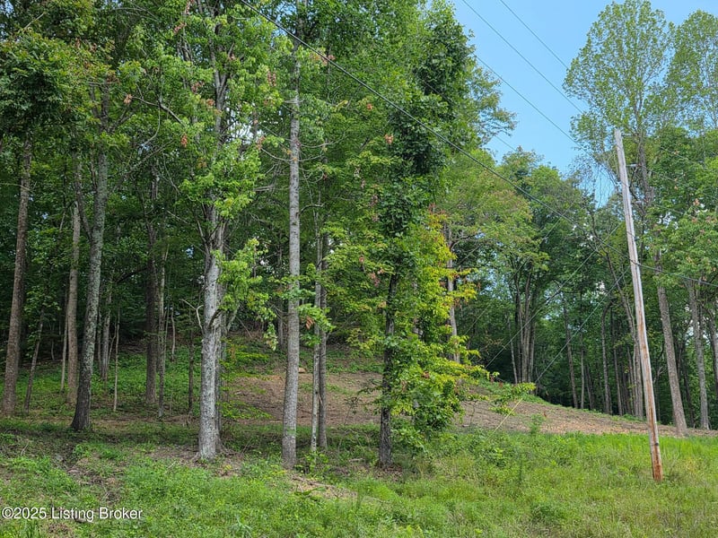 6 Cave Creek Rd, Falls Of Rough, KY 40119