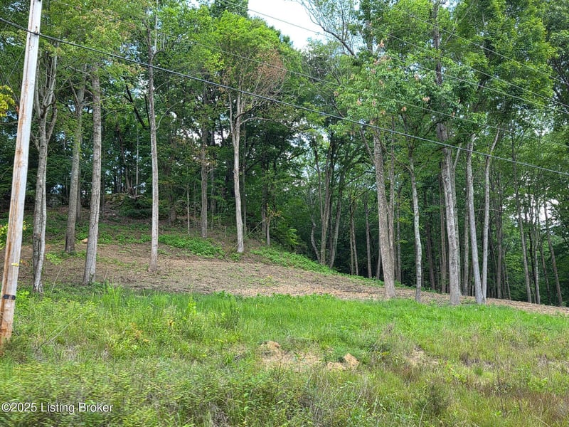 6 Cave Creek Rd, Falls Of Rough, KY 40119