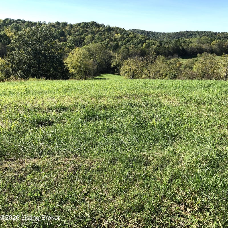 6 s Chowning Ln, Bloomfield, KY 40008