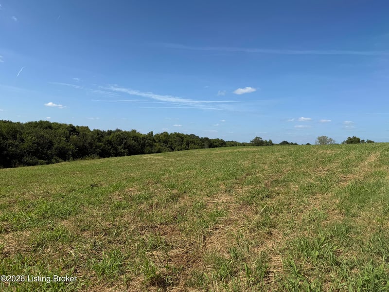 6050 Plum Run Rd, Bloomfield, KY 40008