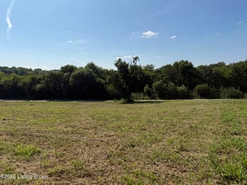 6050 Plum Run Rd, Bloomfield, KY 40008