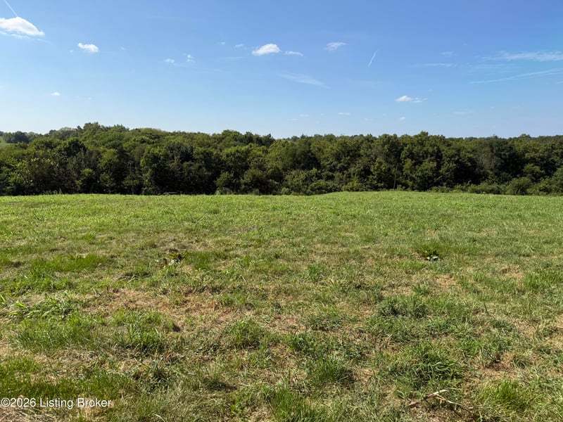 6050 Plum Run Rd, Bloomfield, KY 40008