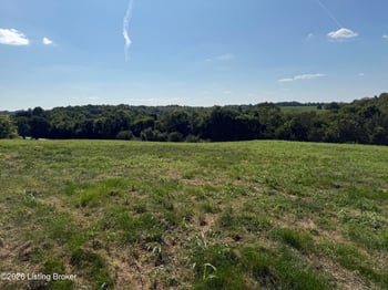 6050 Plum Run Rd, Bloomfield, KY 40008