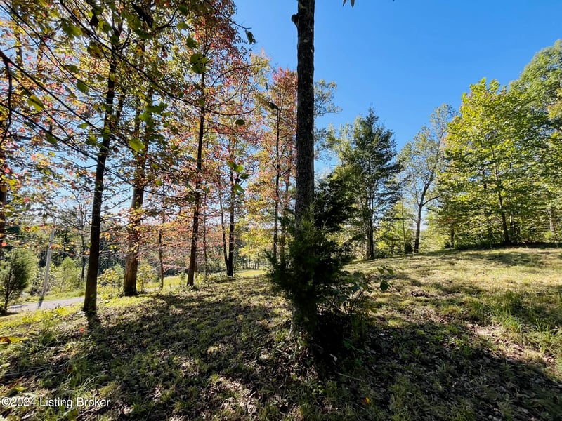 61 Patriot Heights Ln, Falls Of Rough, KY 40119