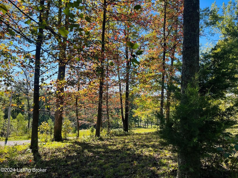 61 Patriot Heights Ln, Falls Of Rough, KY 40119